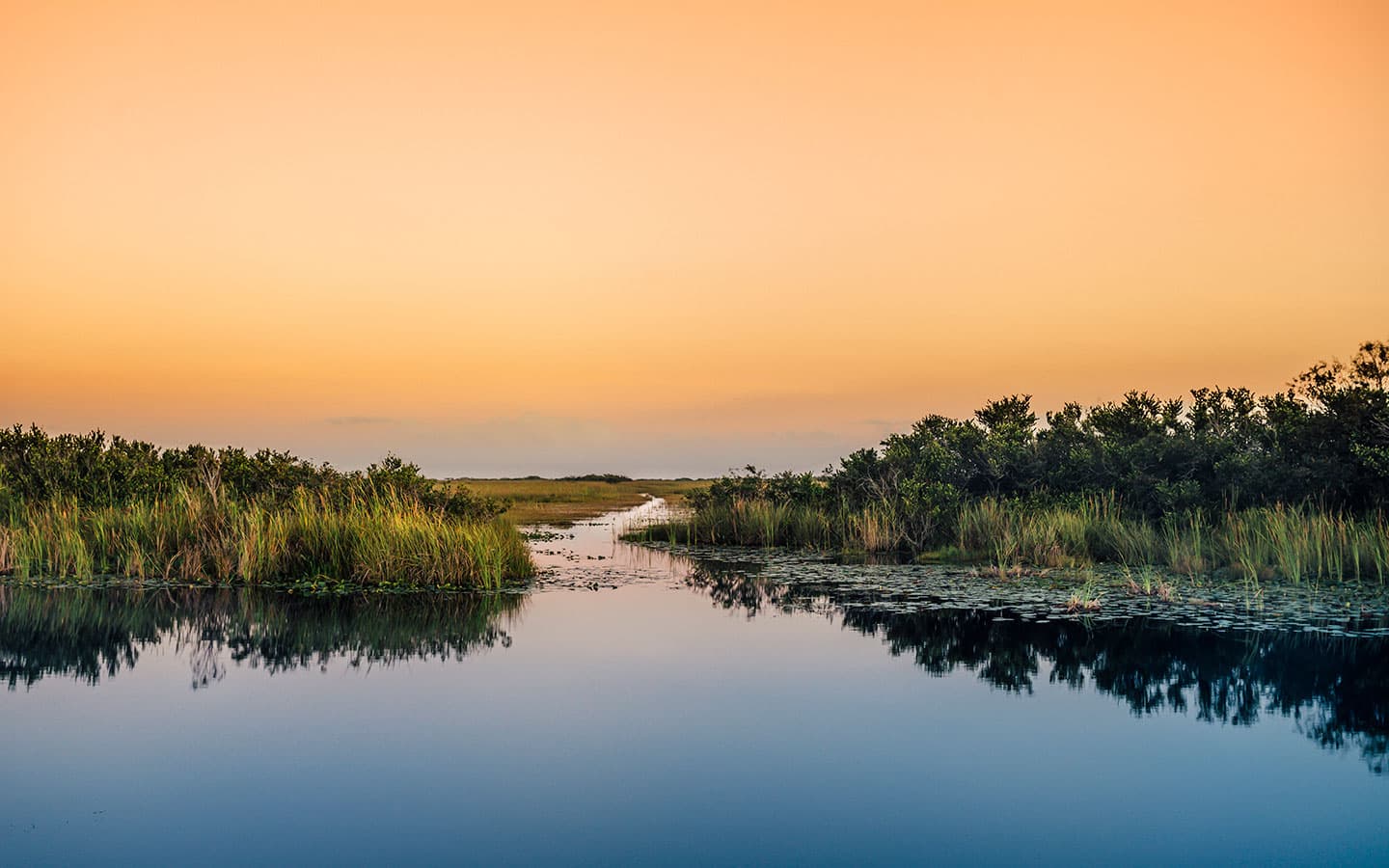 Everglades National Park - Miami Attractions