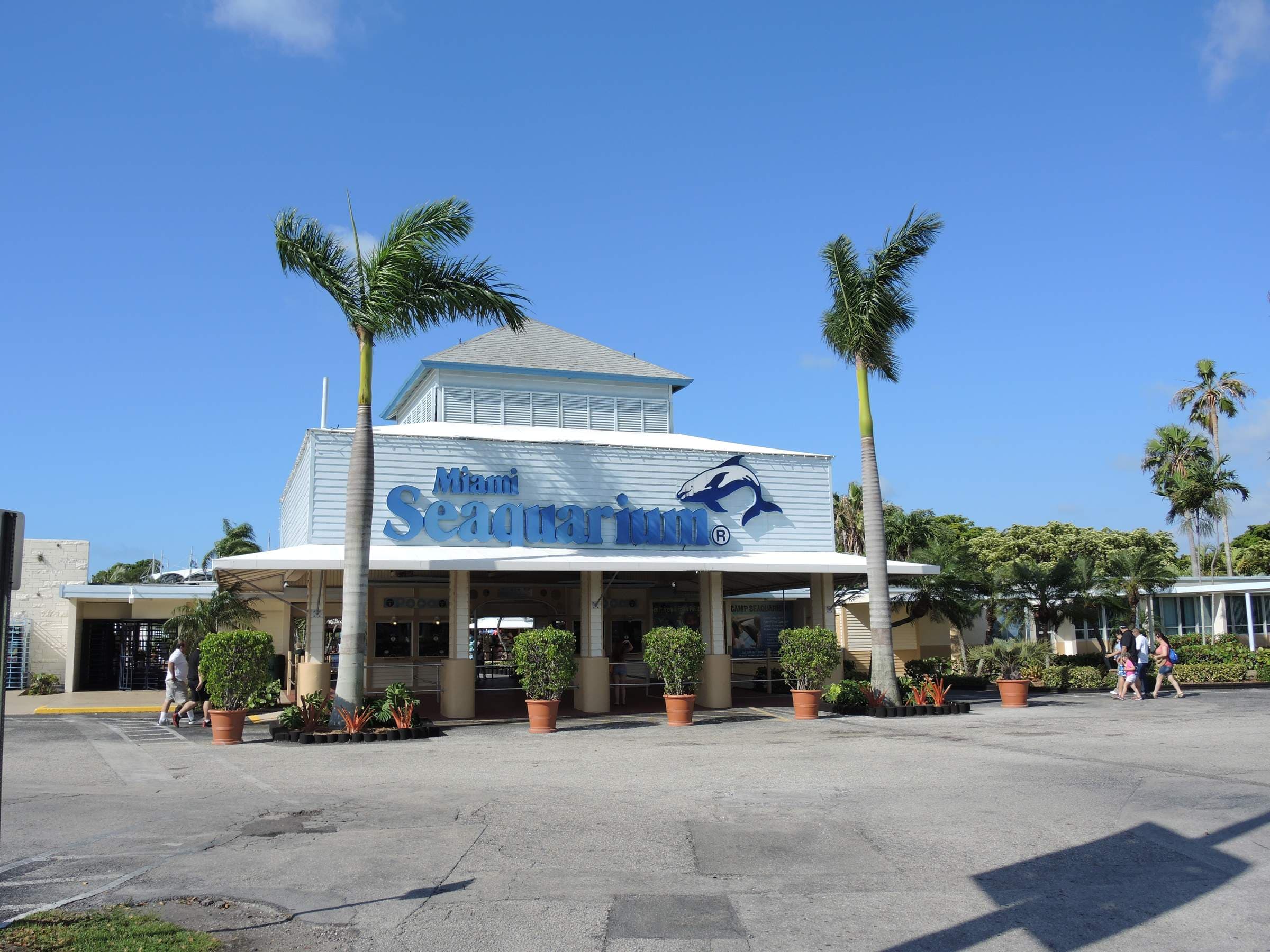 Miami Seaquarium - Miami Attractions