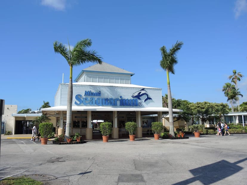 Miami Seaquarium - Miami Attractions
