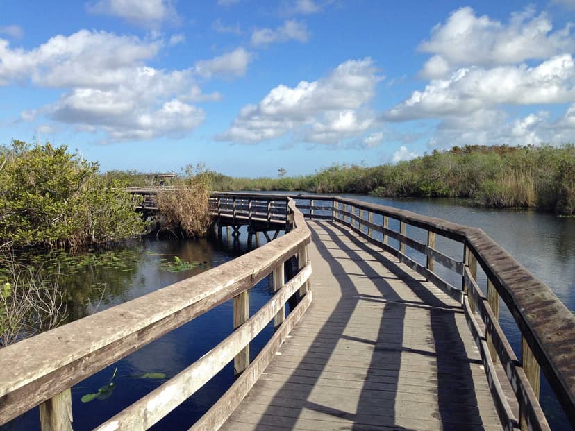 Anhinga Trail - Miami Outdoor Adventures