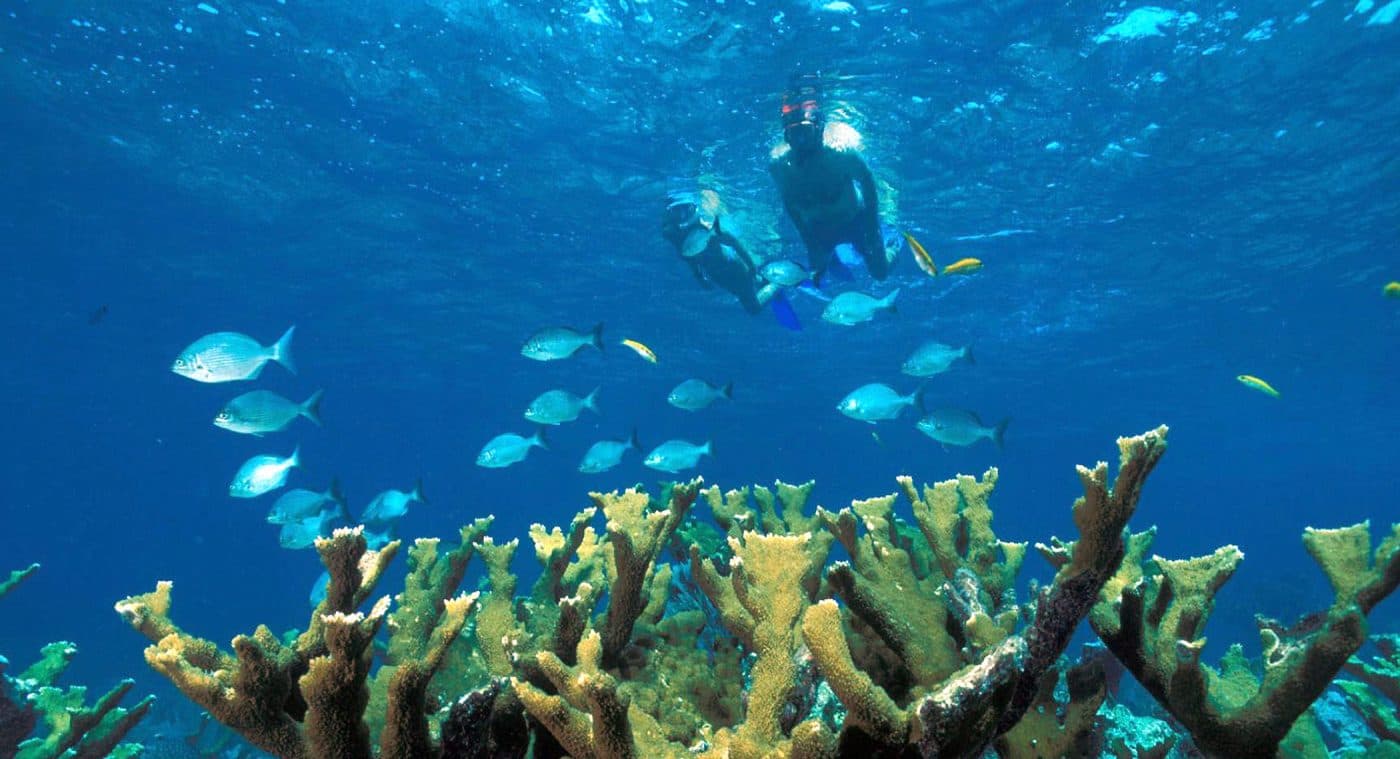 Not Feeling Miami Today? Take a Day Trip to Orlando - Miami travel guide