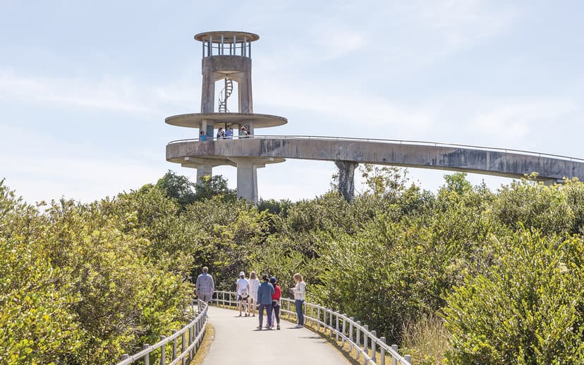 Shark Valley - Miami Outdoor Adventures