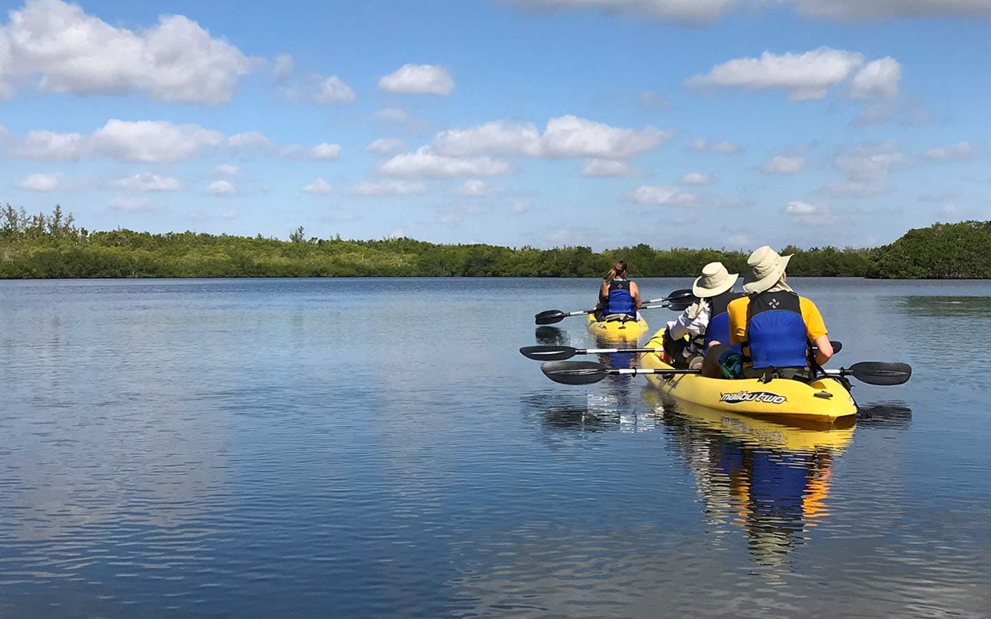 Biscayne Bay Kayaking - Miami Outdoor Adventures