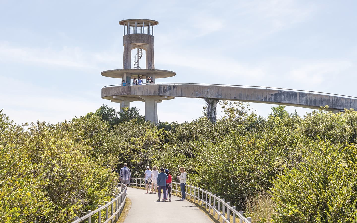 Shark Valley - Miami Outdoor Adventures